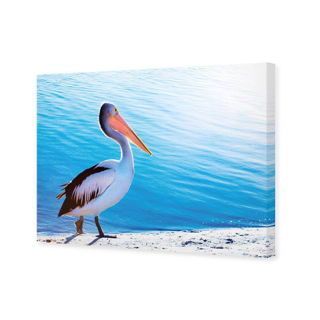 Pelican Canvas Art | Wall Art Designs
