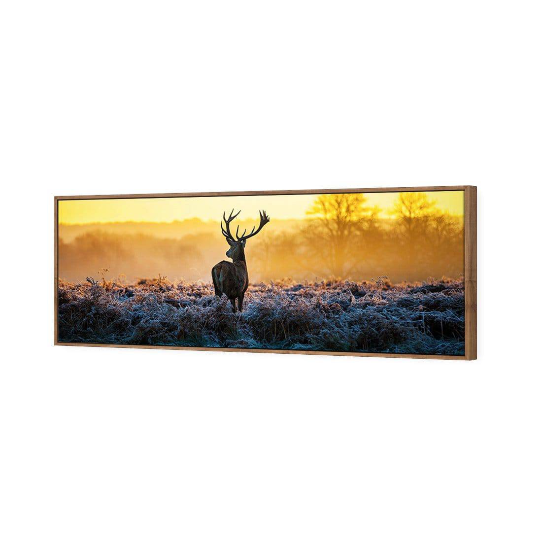 Red Deer At Dawn Canvas Art-Canvas-Wall Art Designs-60x20cm-Canvas - Natural Frame-Wall Art Designs