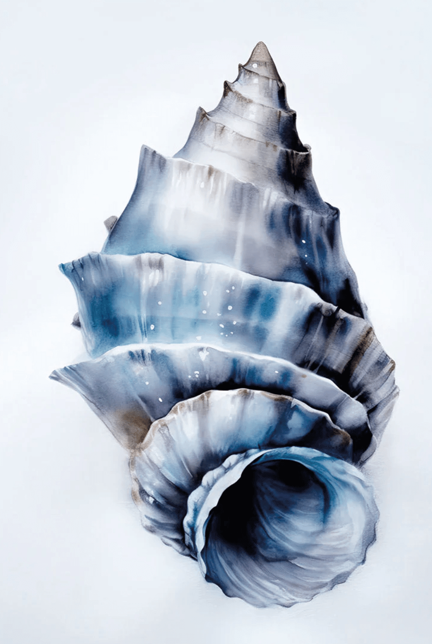 Hamptons Art - Wall Art Designs