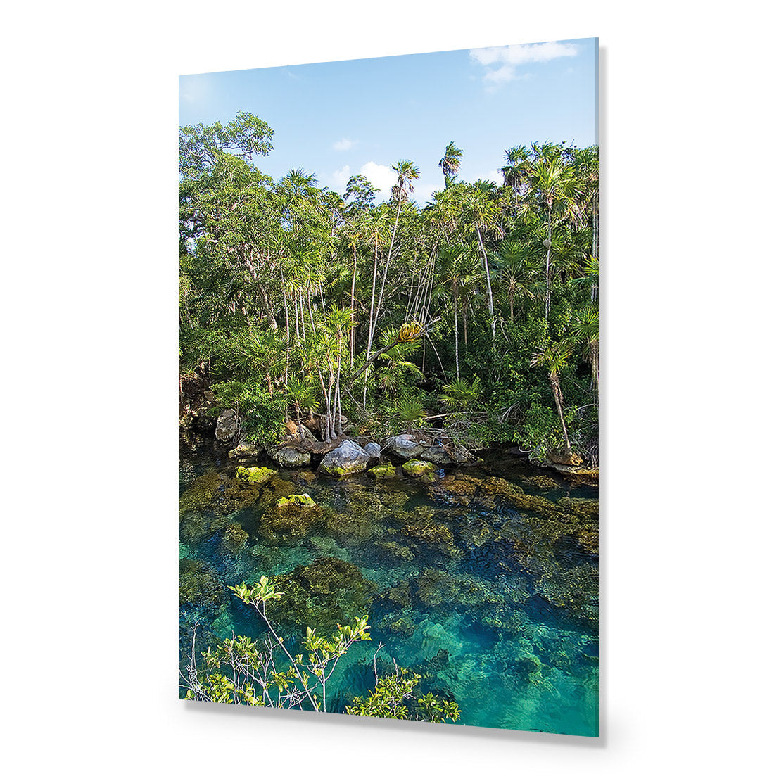 Rainforest Lake (rectangle)