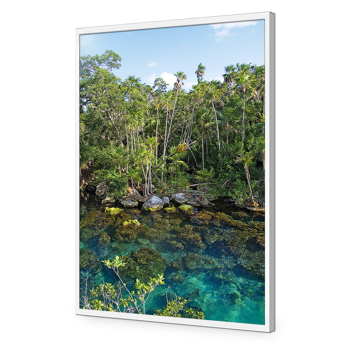 Rainforest Lake (rectangle)