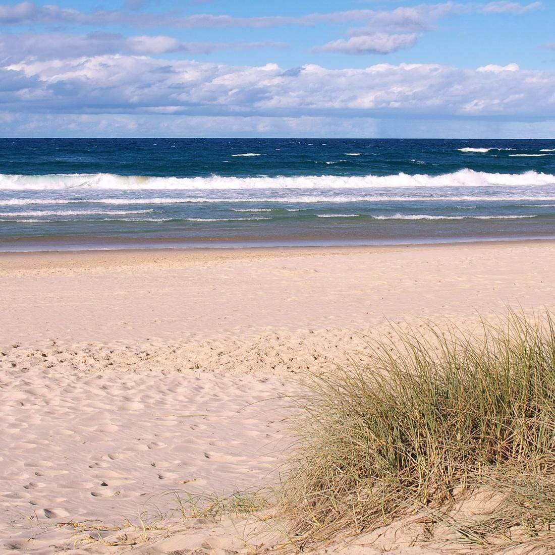 Gold Coast Beach (square)