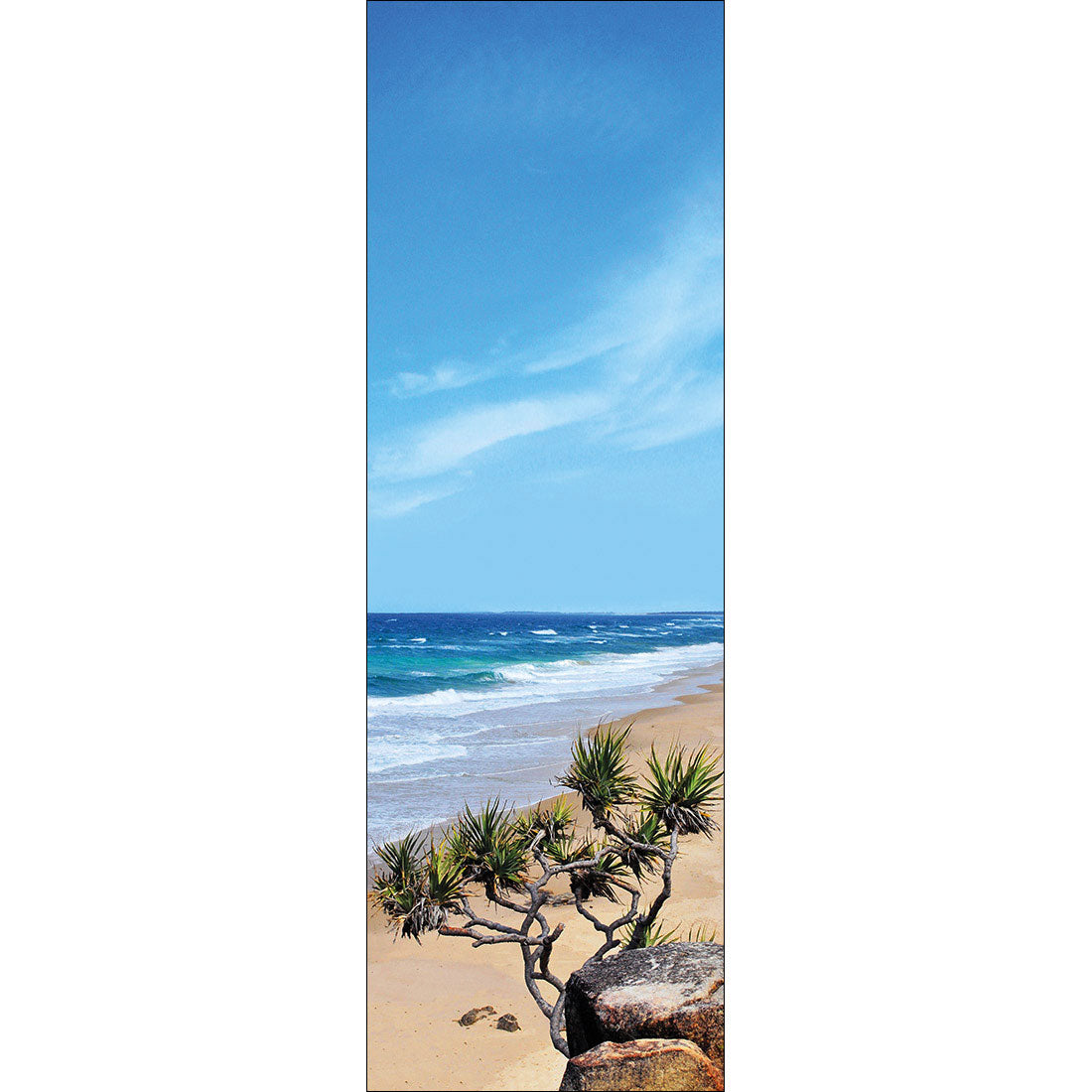 Coolum Beach, tall