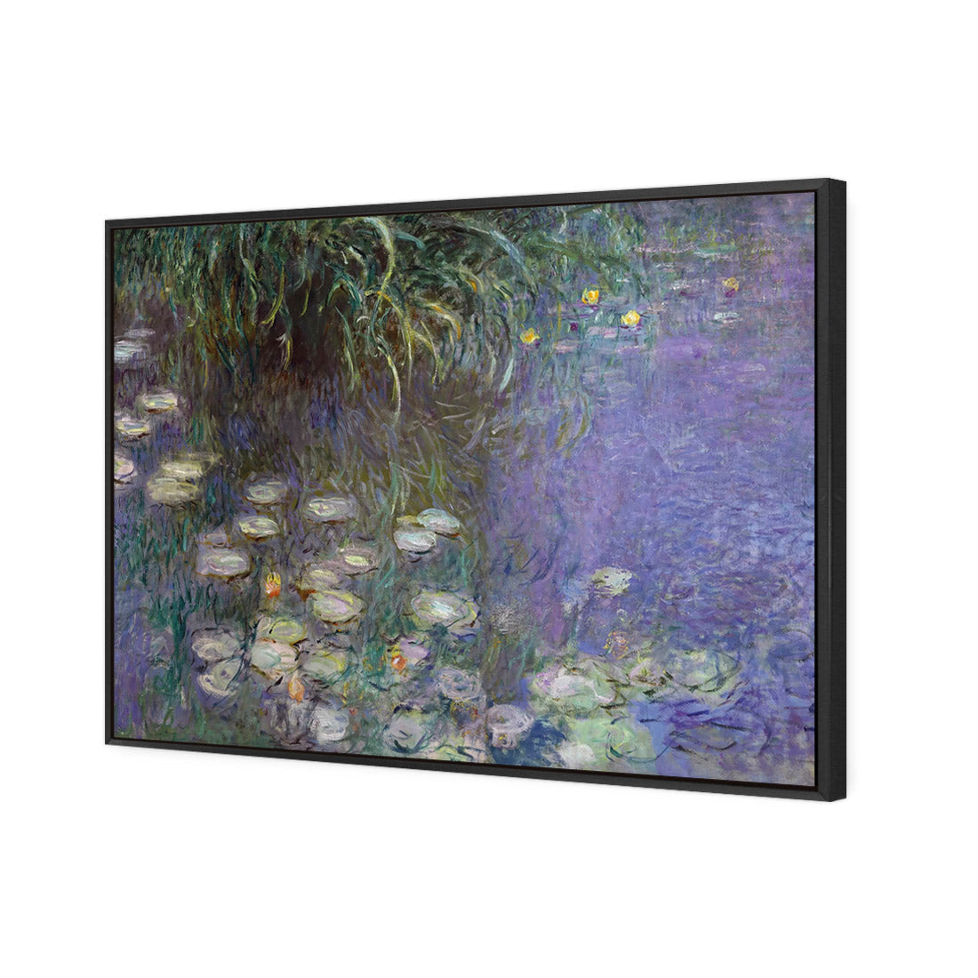 Waterlillies By Monet