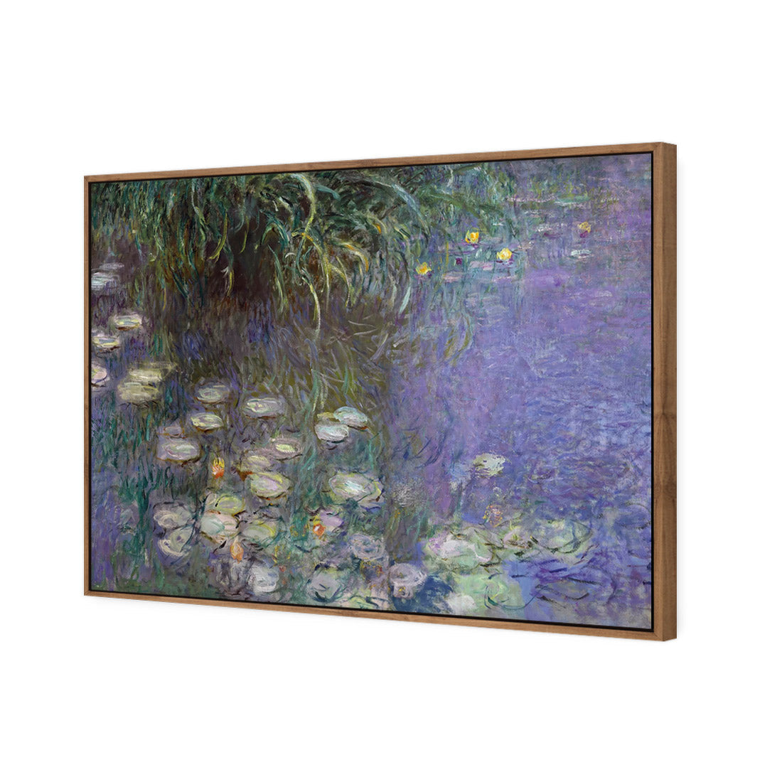 Waterlillies By Monet