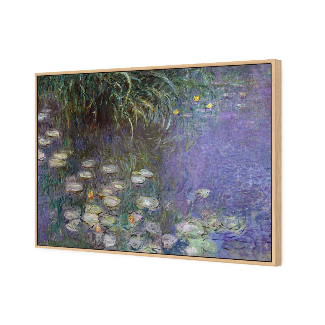 Waterlillies By Monet