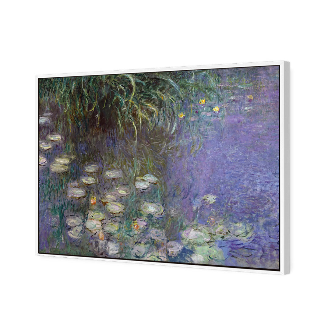 Waterlillies By Monet