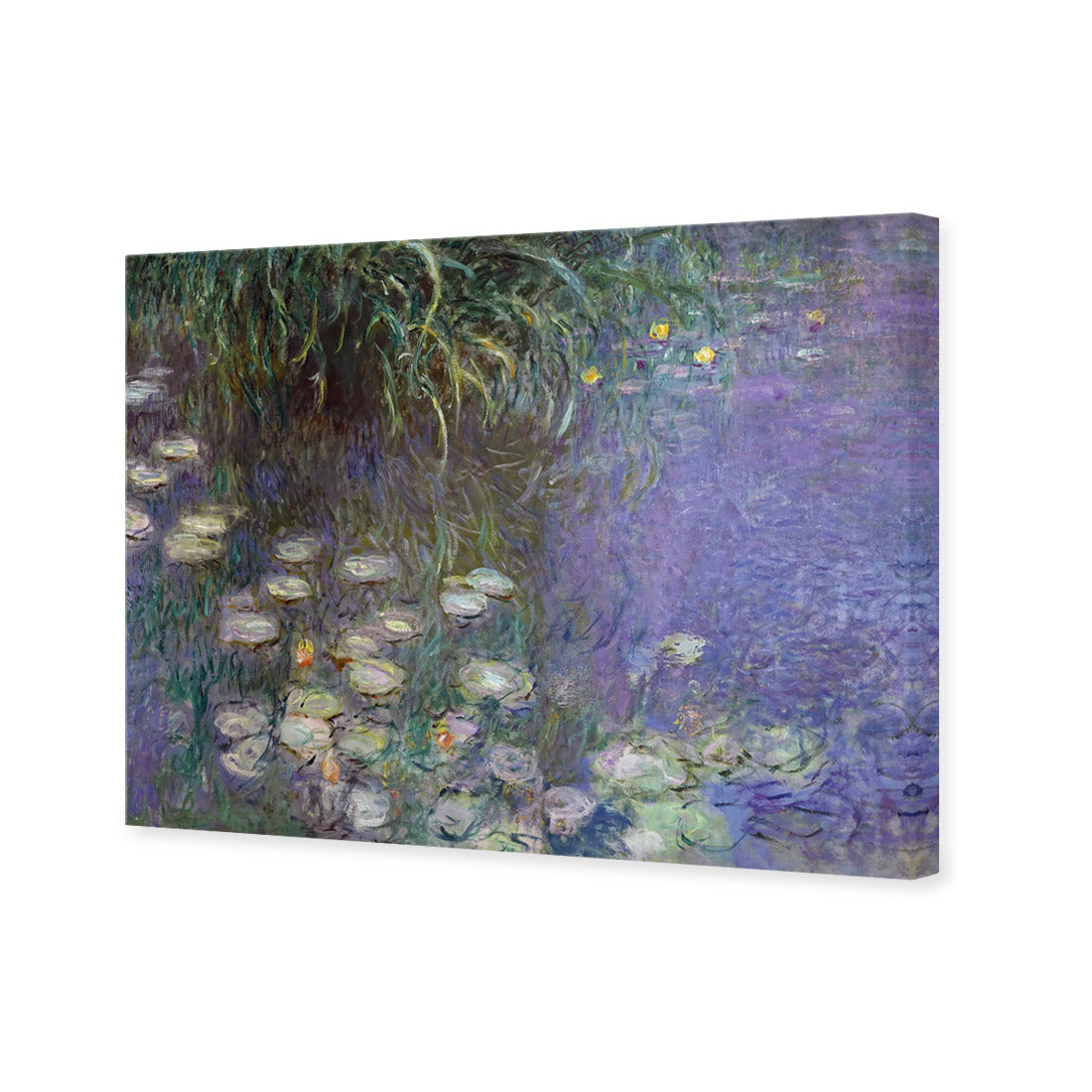 Waterlillies By Monet