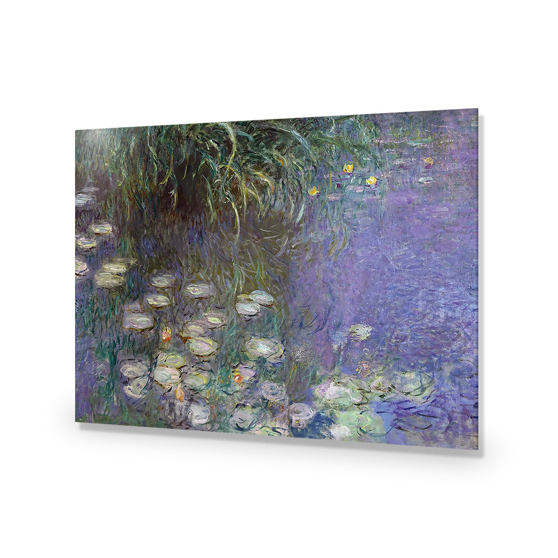 Waterlillies By Monet