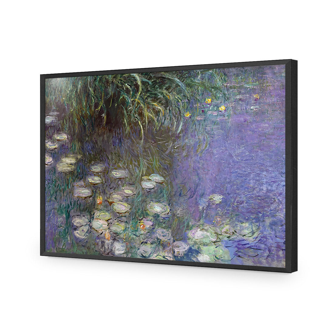 Waterlillies By Monet