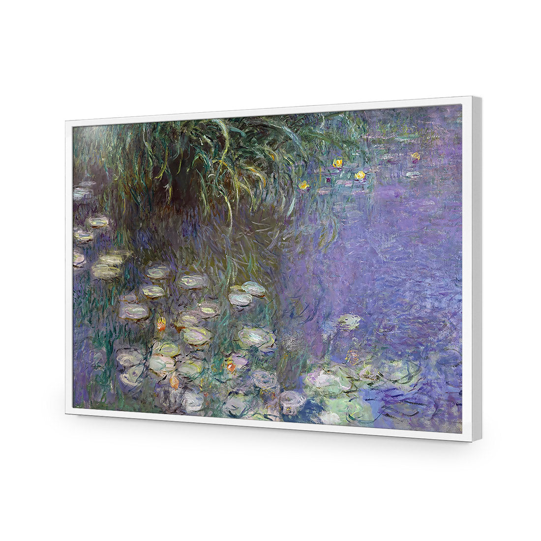 Waterlillies By Monet