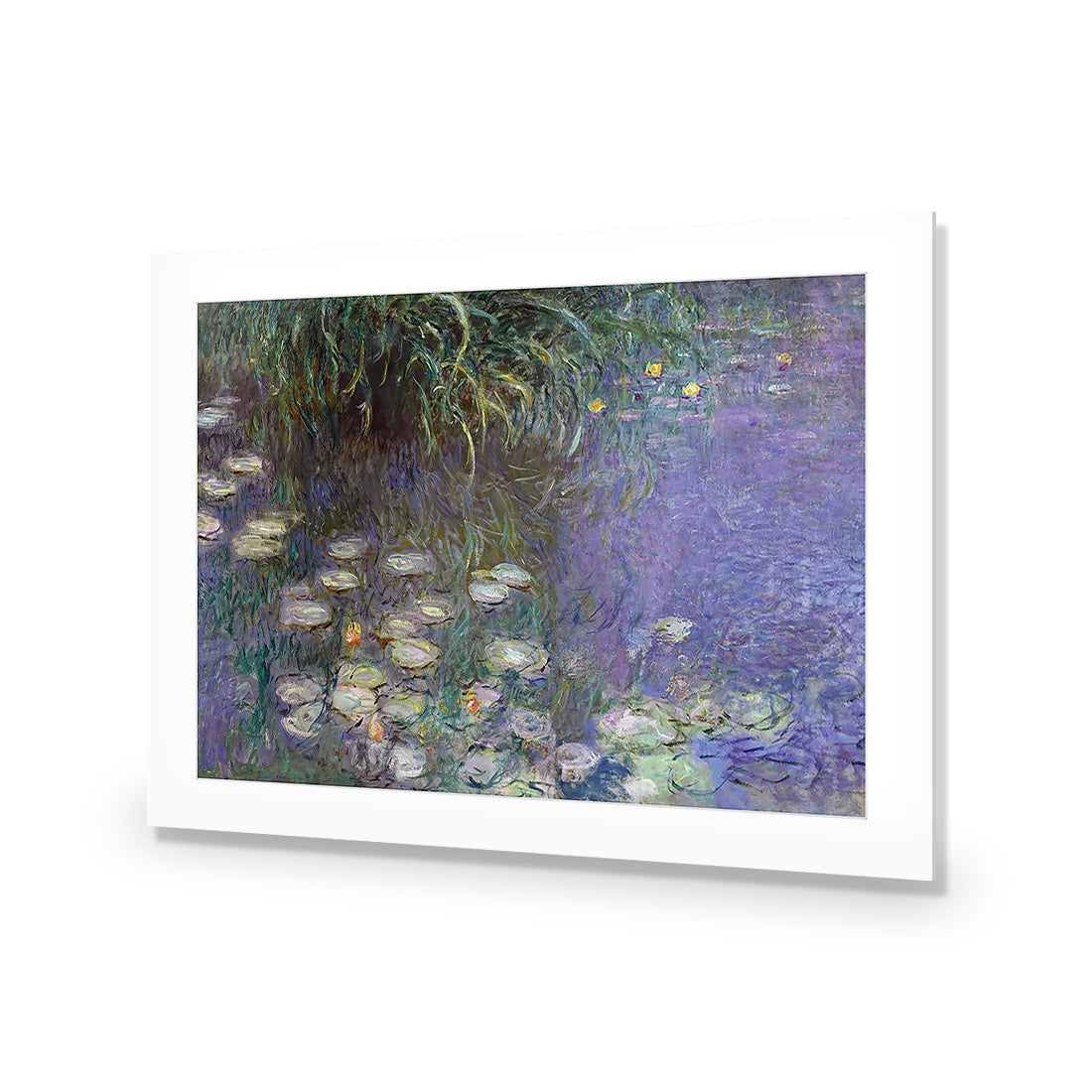 Waterlillies By Monet