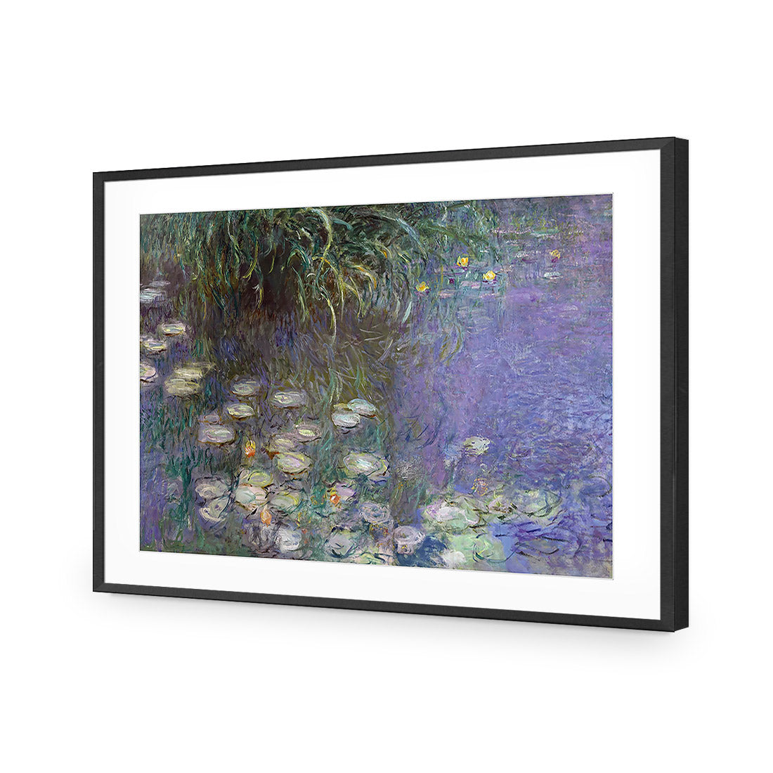 Waterlillies By Monet