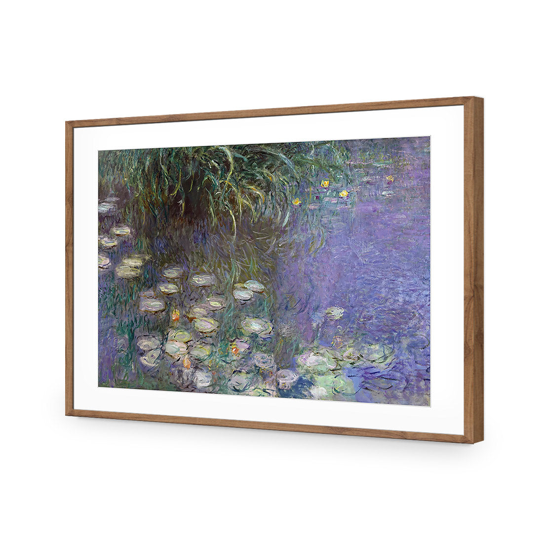 Waterlillies By Monet