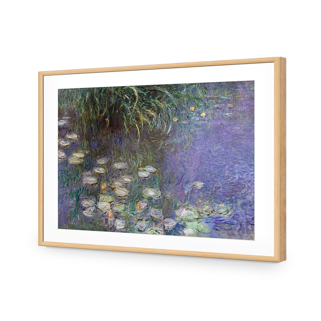 Waterlillies By Monet