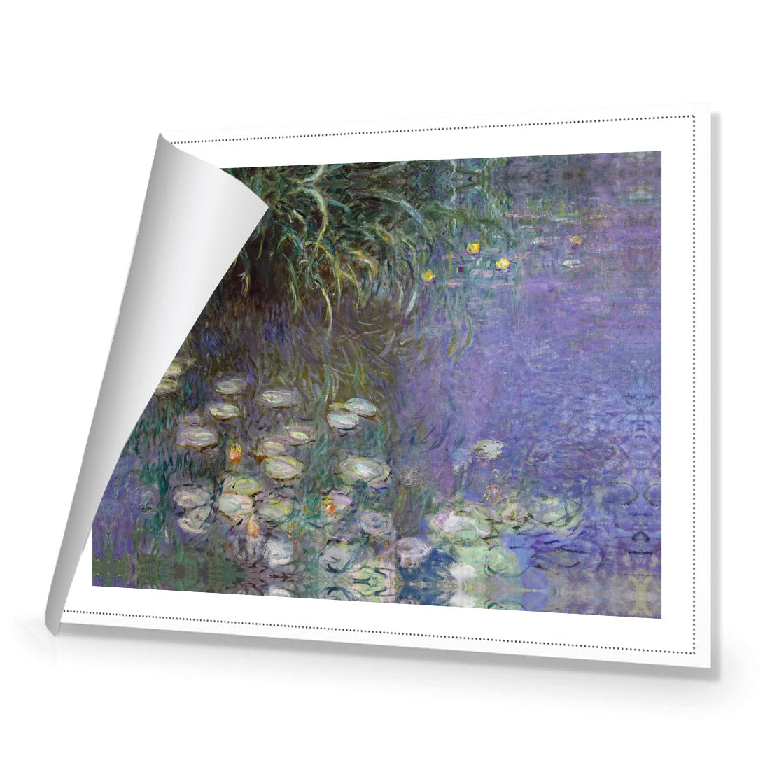 Waterlillies By Monet