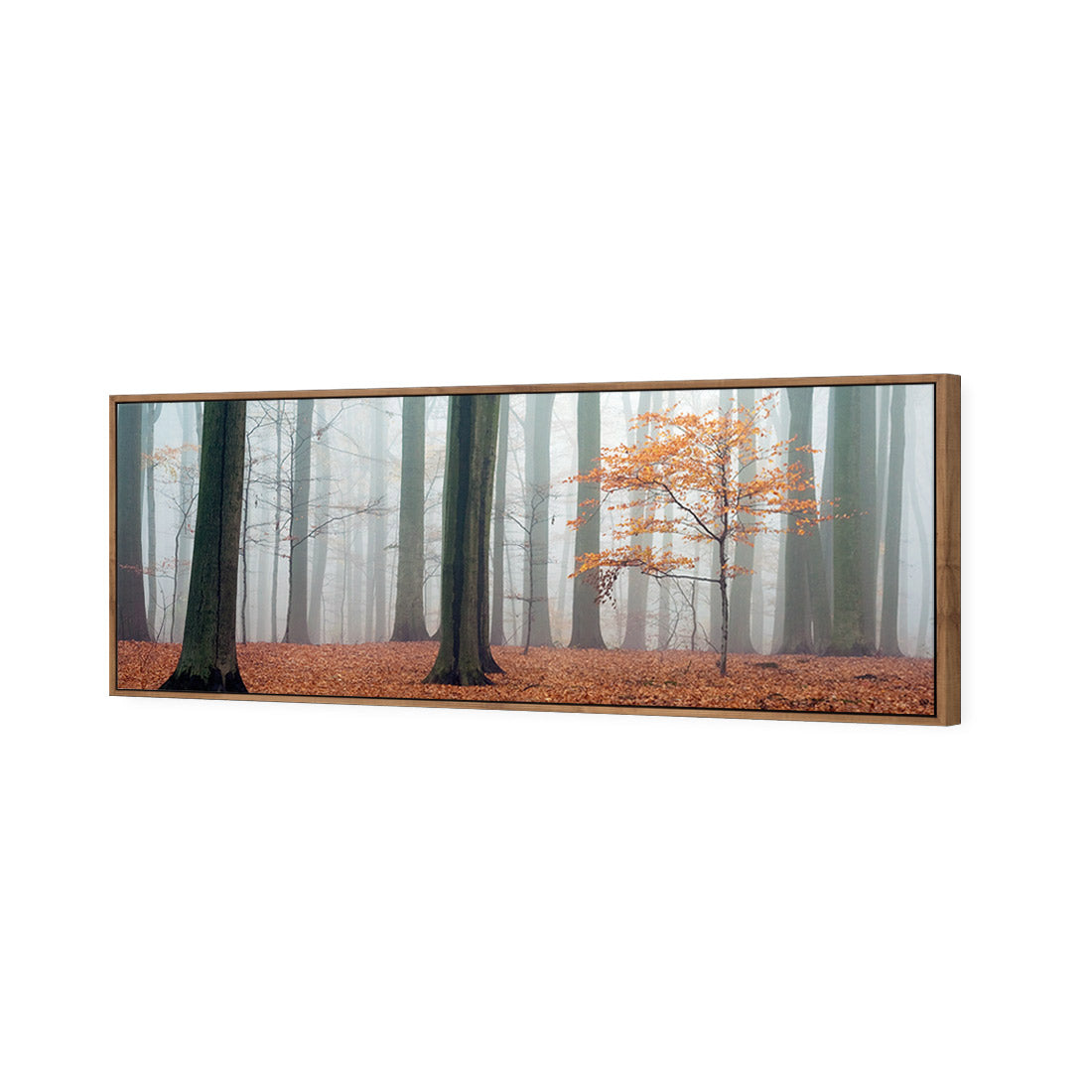 Misty Autumn Forest (Long)