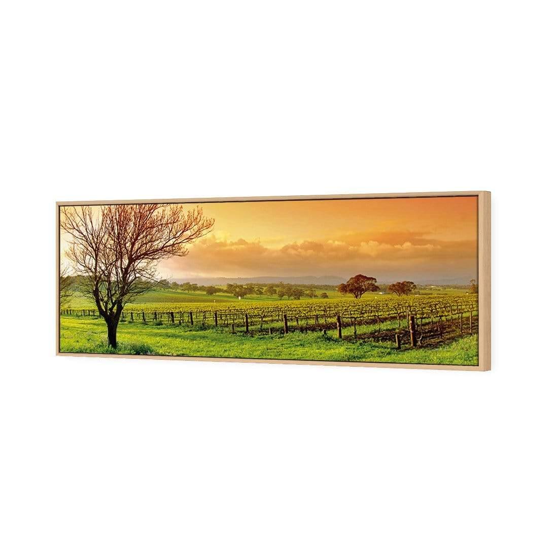 Vineyard Landscape (Long)