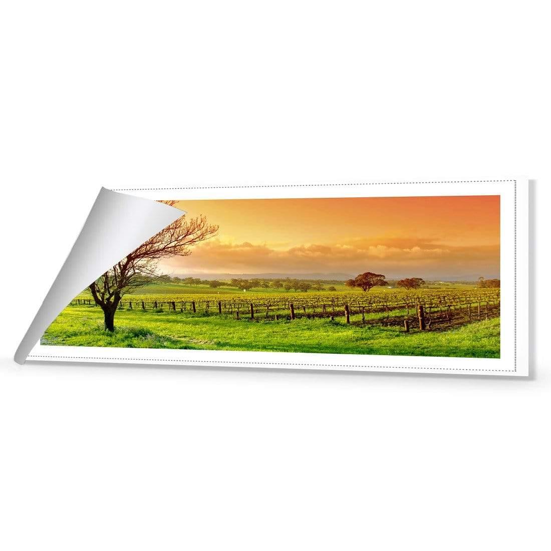 Vineyard Landscape (Long)