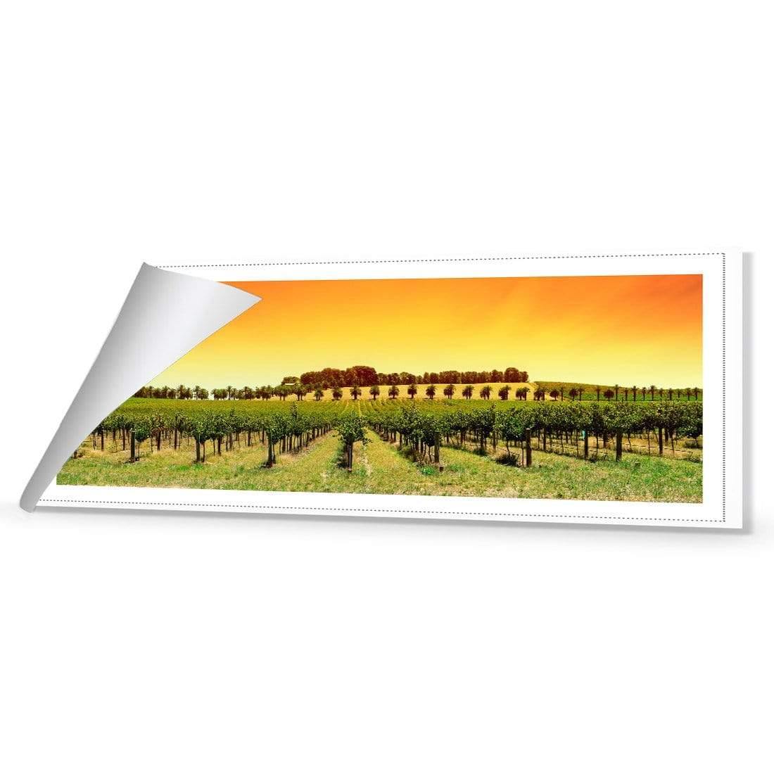 Barossa Vineyards (Long)