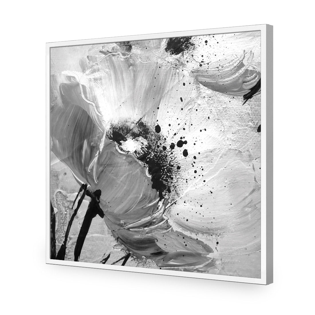 Poppy Art, Black and White (Square)