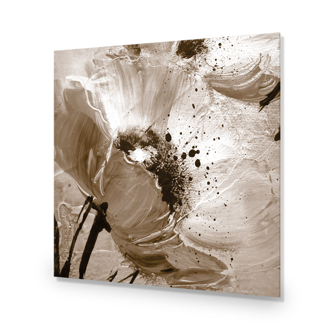 Poppy Art, Sepia (Square)