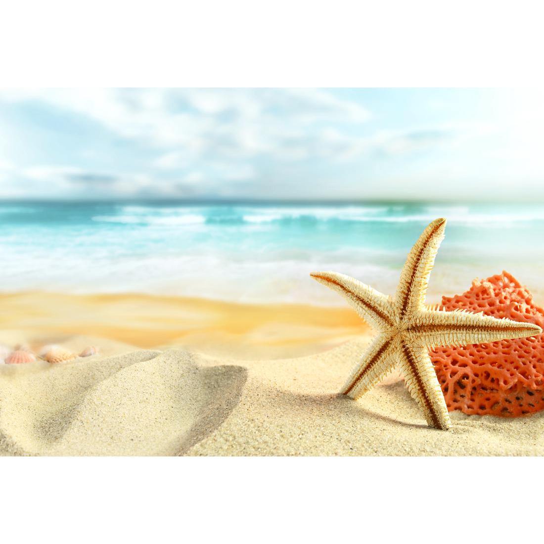 Starfish and Coral on Beach