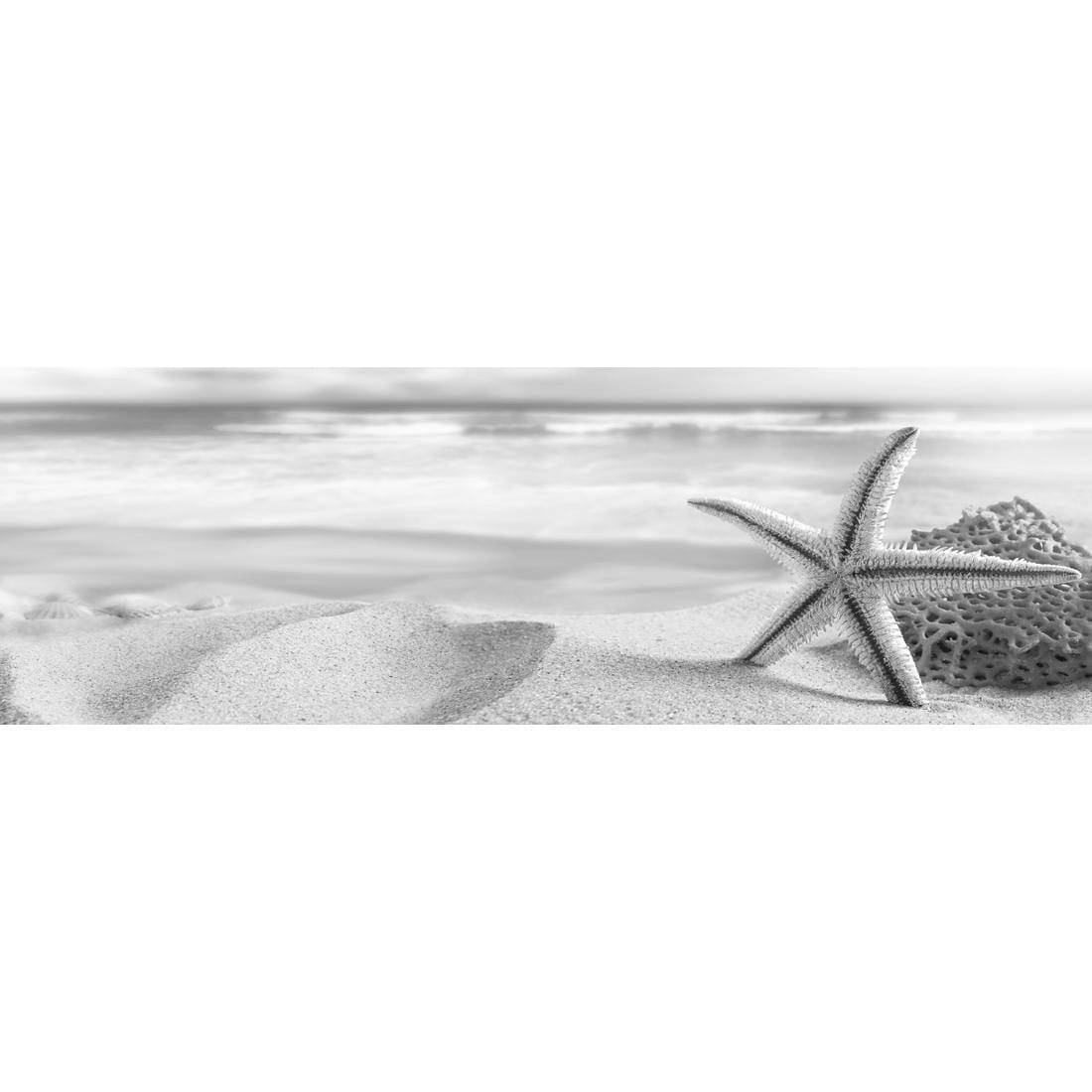 Starfish and Coral on Beach, Black and White (Long)