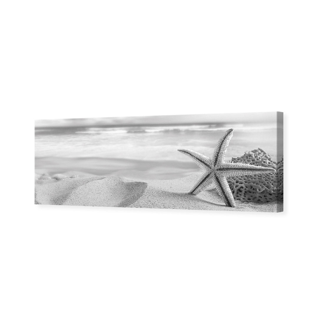 Starfish and Coral on Beach, Black and White (Long)