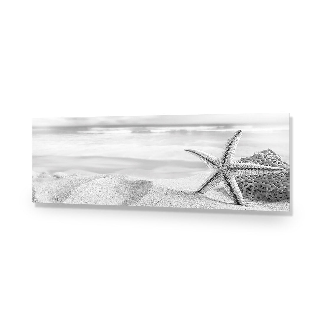 Starfish and Coral on Beach, Black and White (Long)