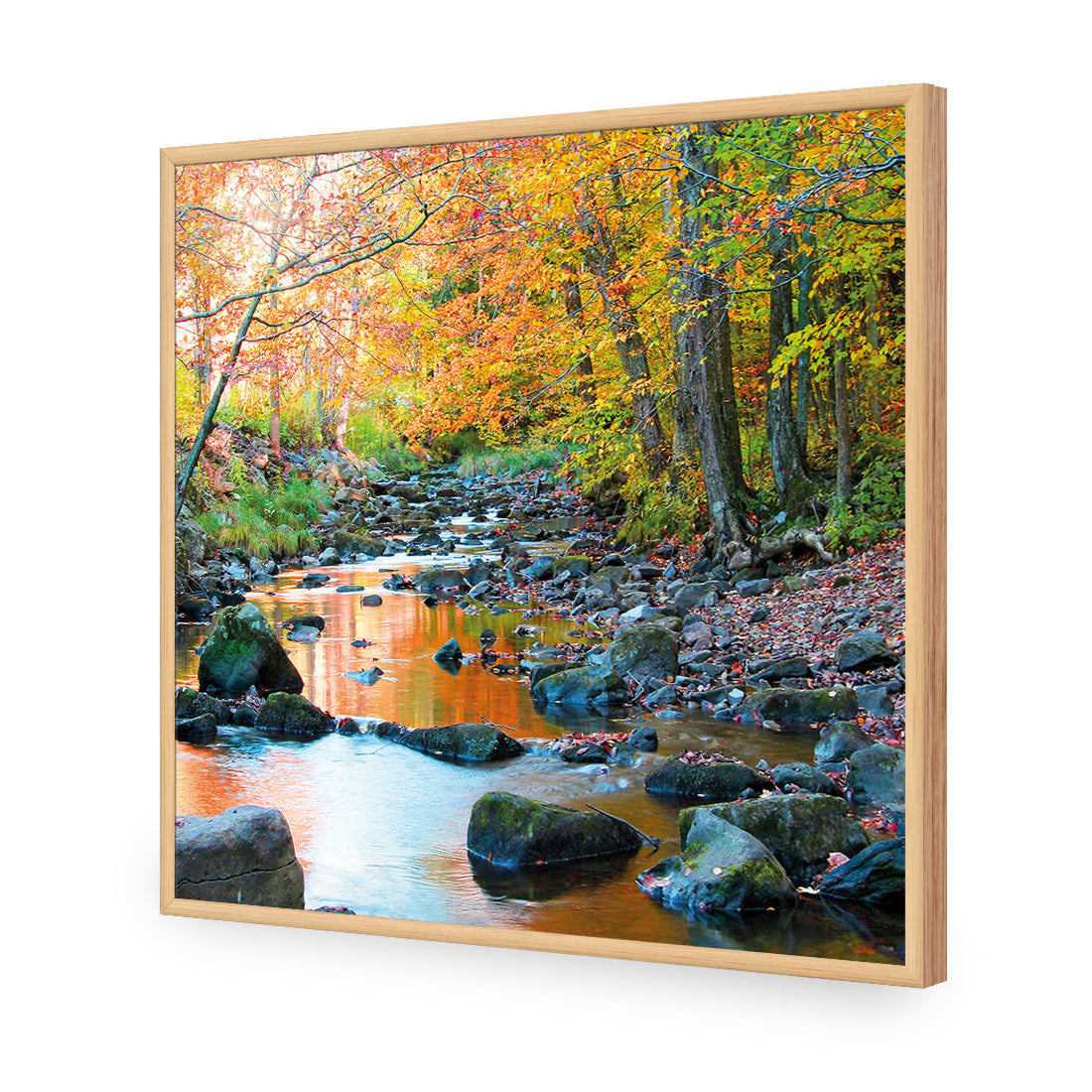 Forest Stream (square)