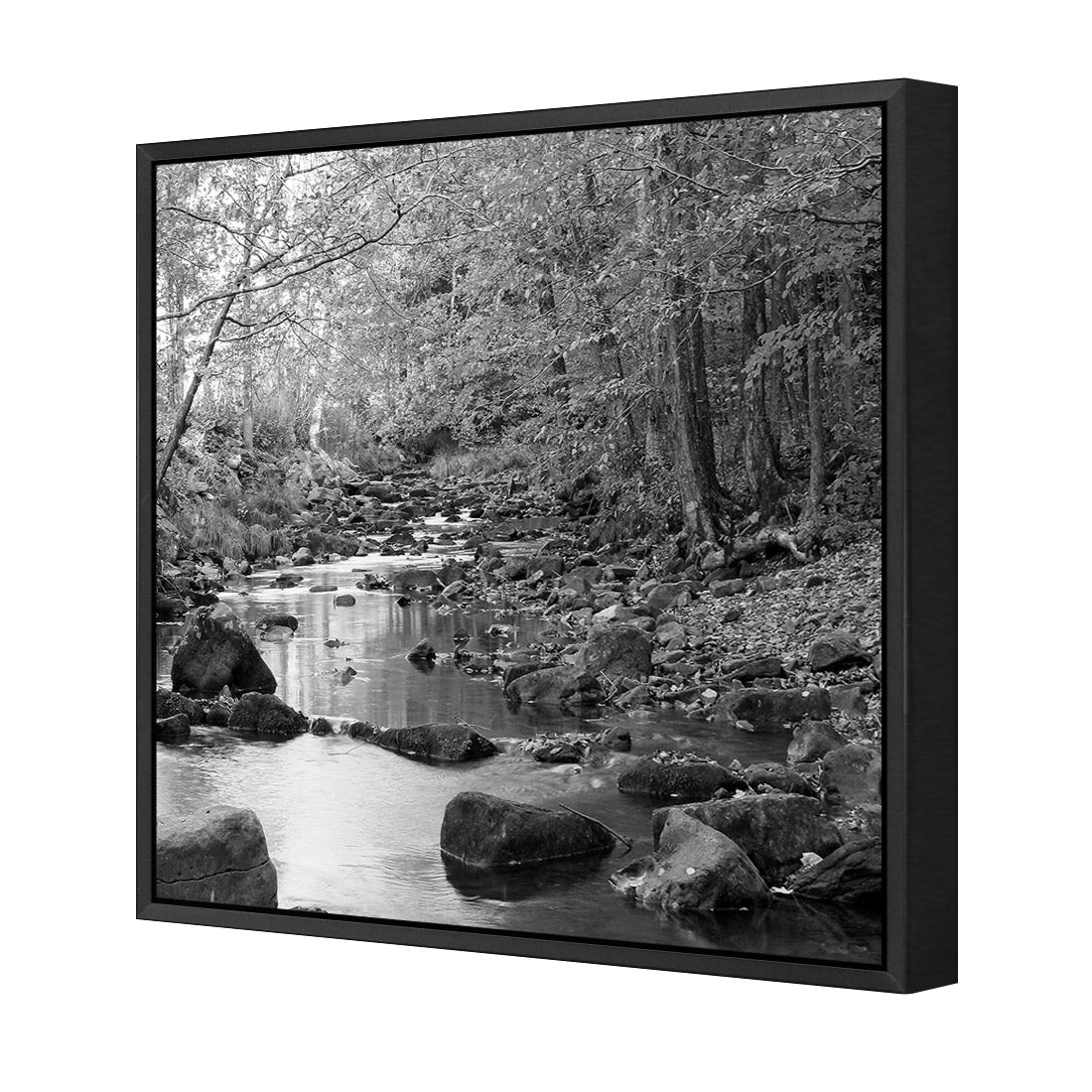 Forest Stream, Black and White (Square)