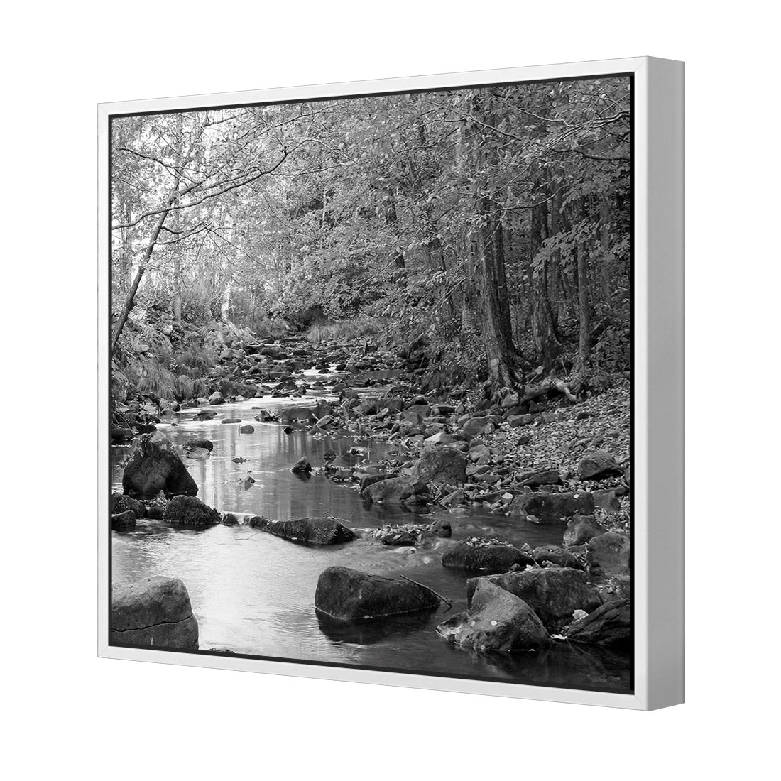 Forest Stream, Black and White (Square)