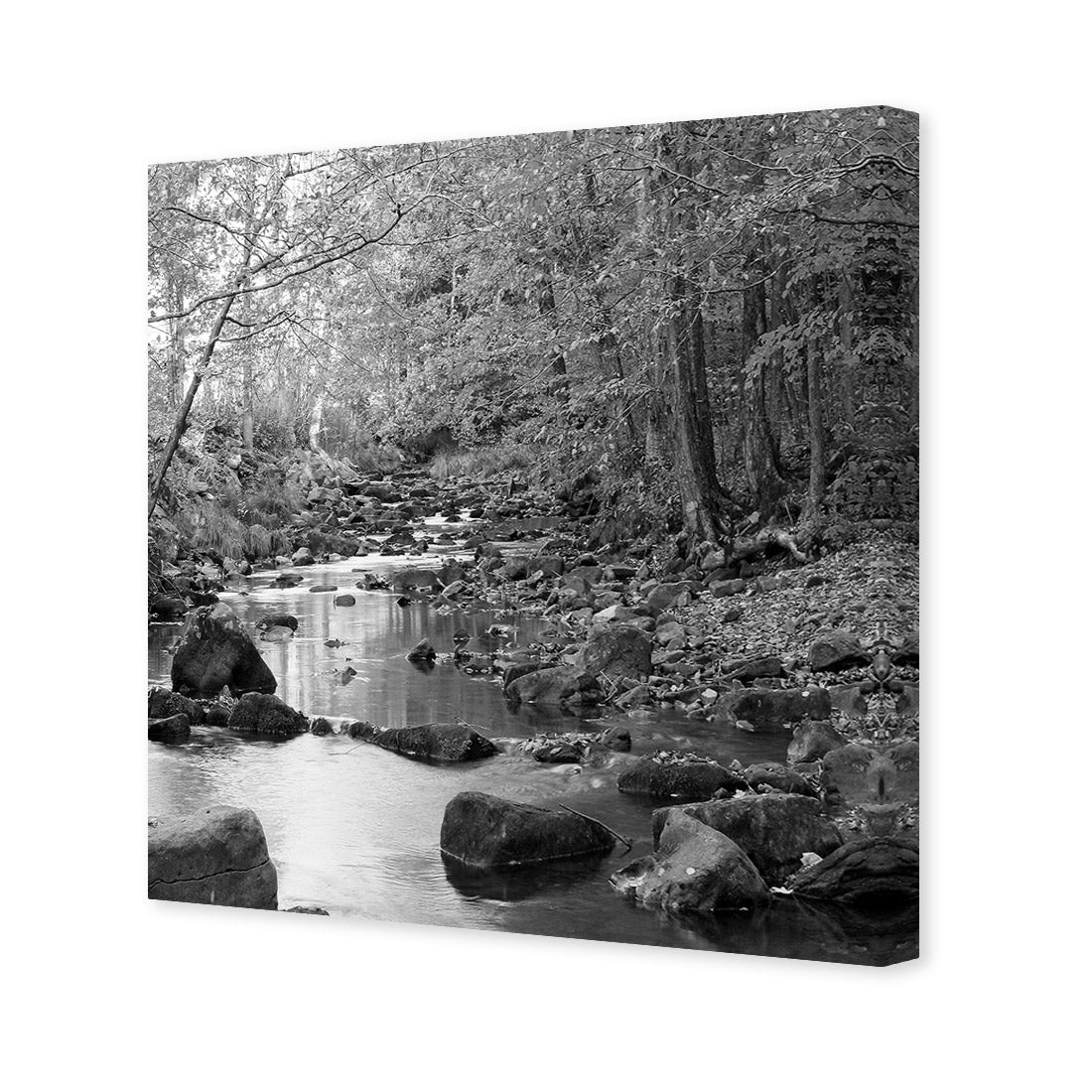 Forest Stream, Black and White (Square)