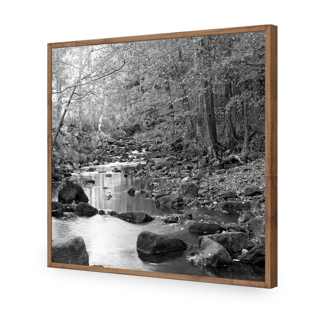 Forest Stream, Black and White (Square)