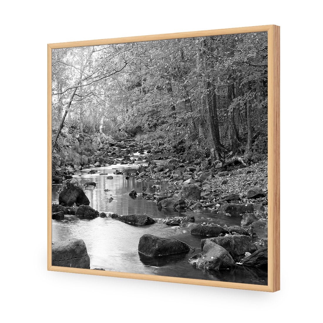 Forest Stream, Black and White (Square)