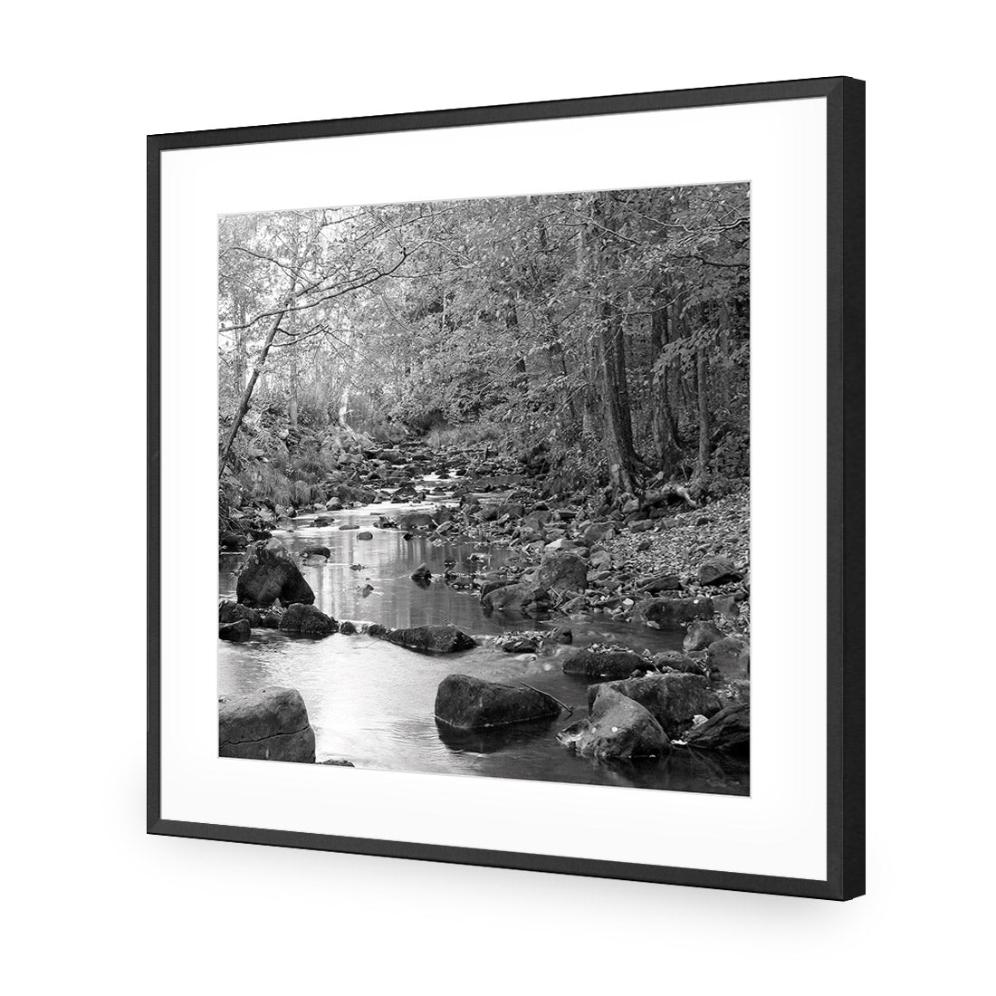 Forest Stream, Black and White (Square)