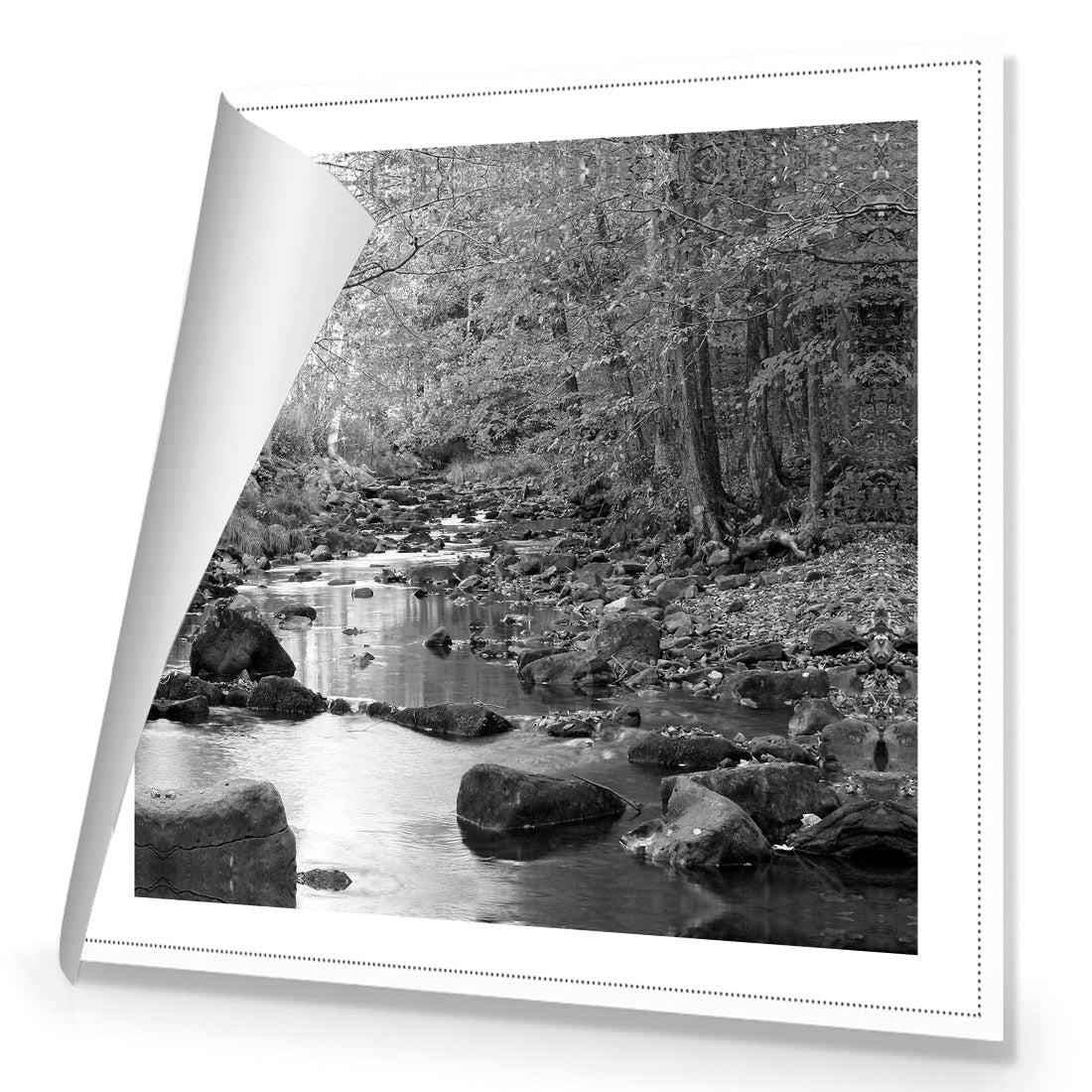 Forest Stream, Black and White (Square)