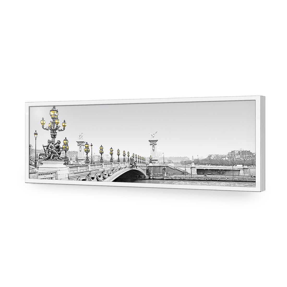 Paris Bridge, Black and White with lights (long)