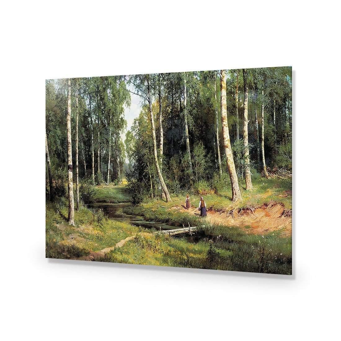 Brook in Birch Forest 1883 By Ivan Shishkin