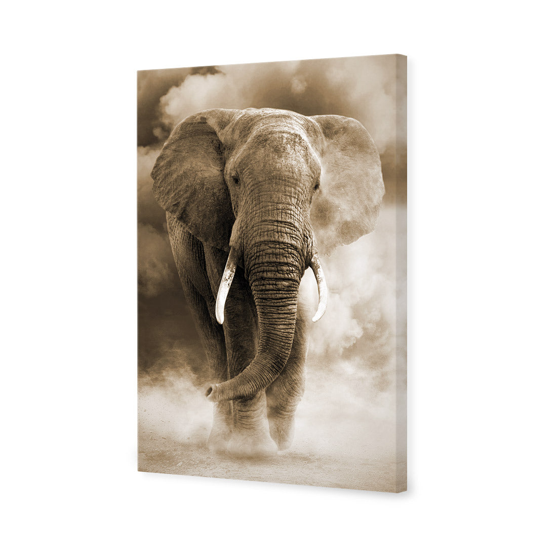 Elephant in Dust, Sepia