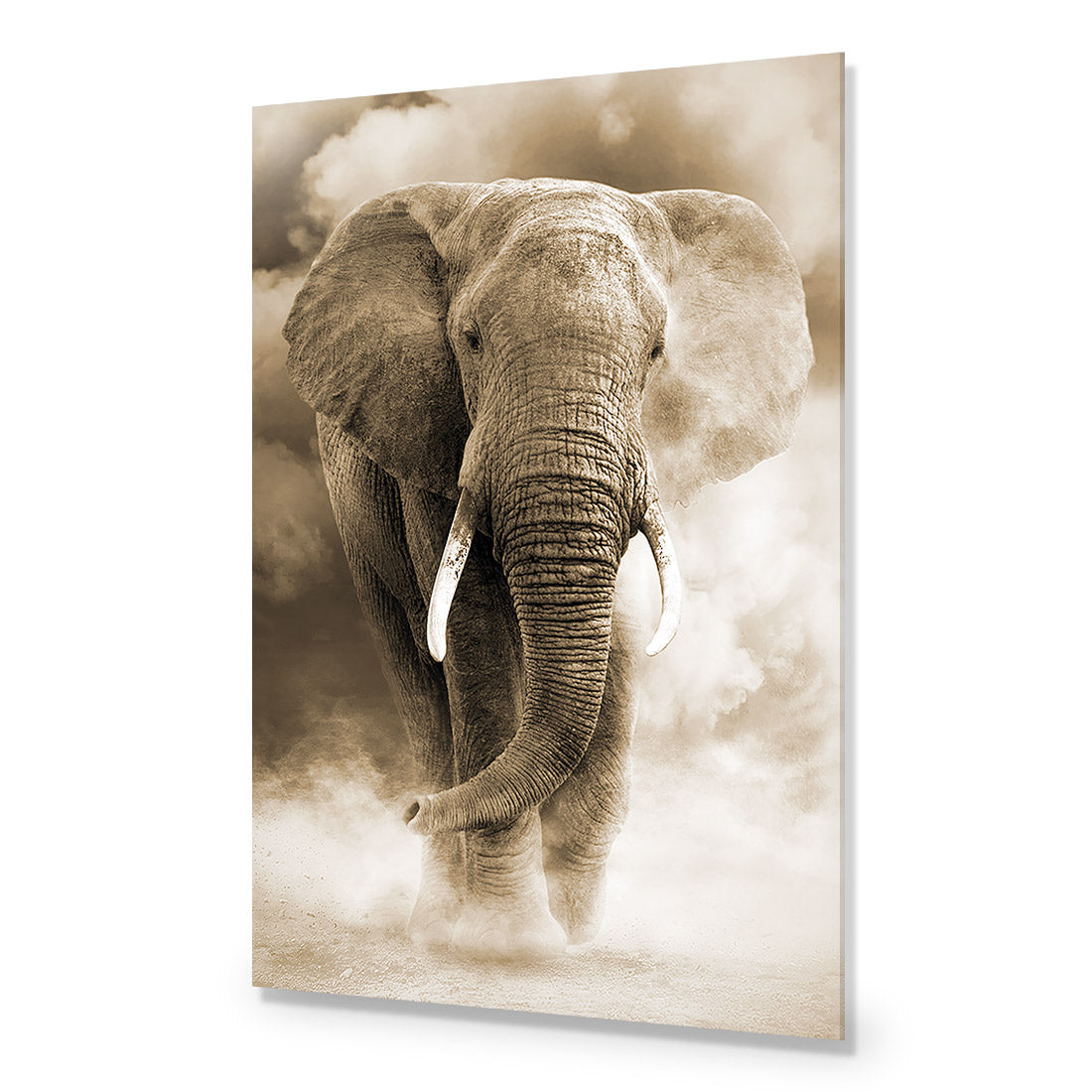 Elephant in Dust, Sepia