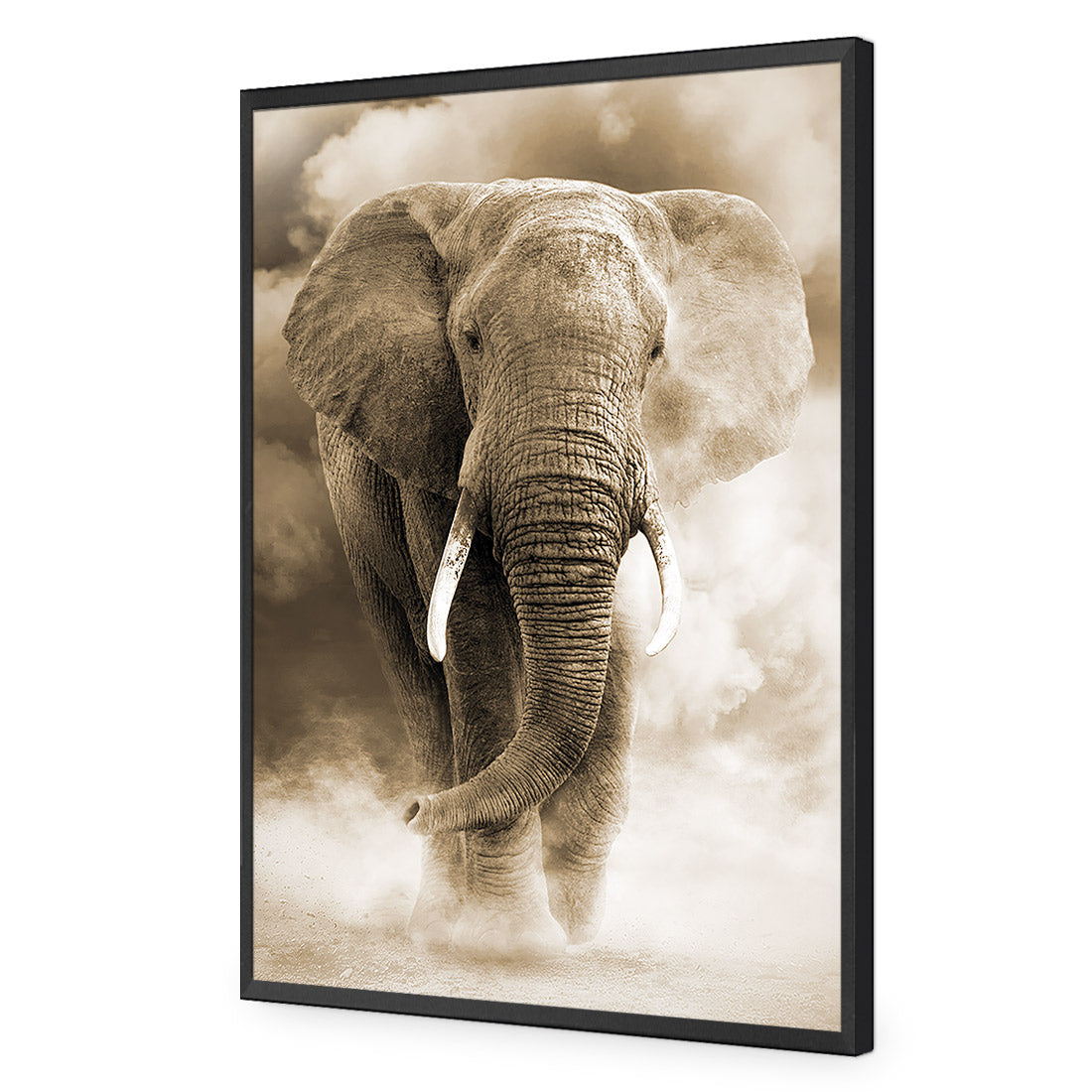 Elephant in Dust, Sepia