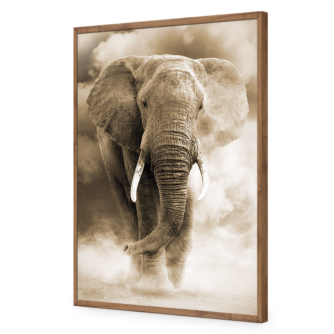 Elephant in Dust, Sepia