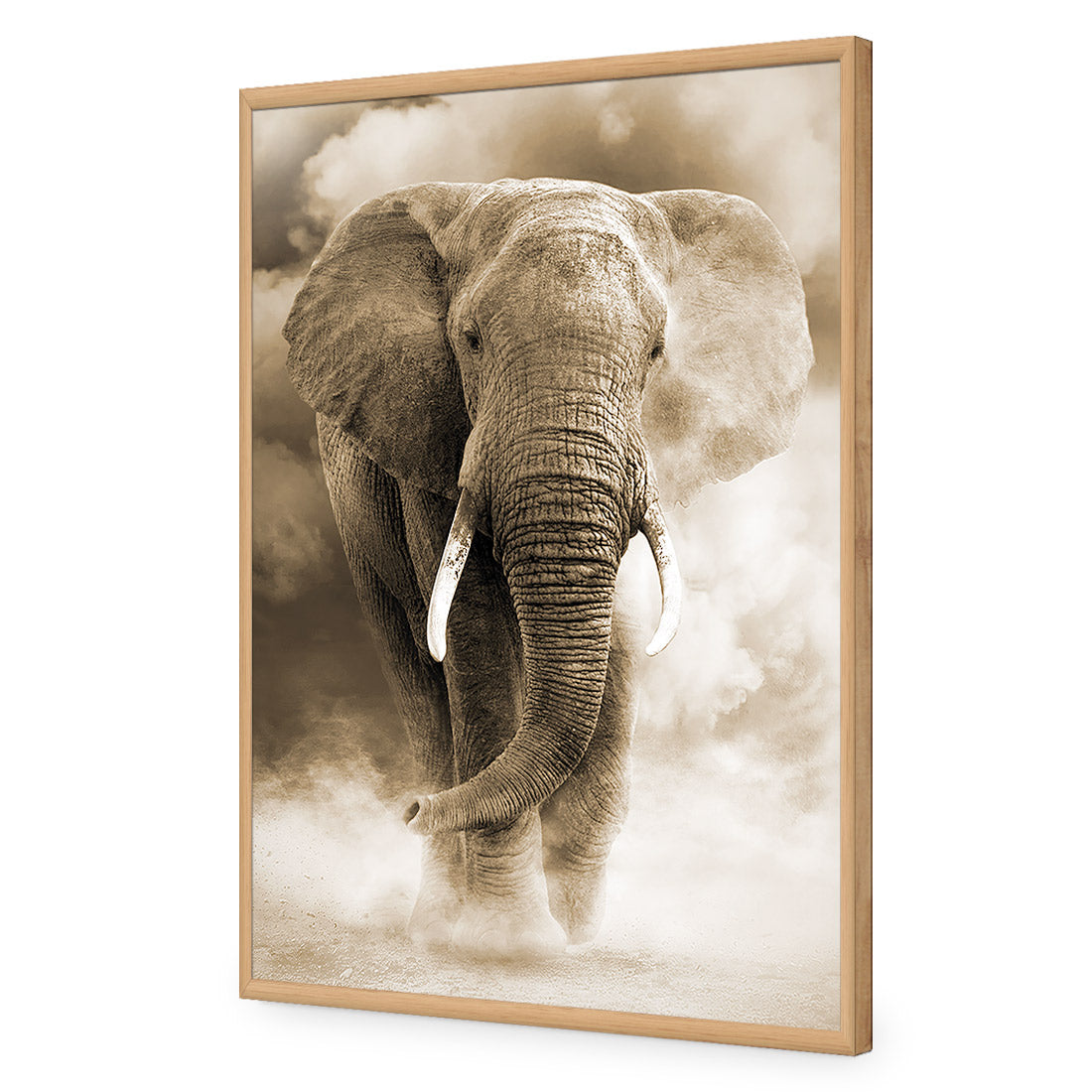 Elephant in Dust, Sepia