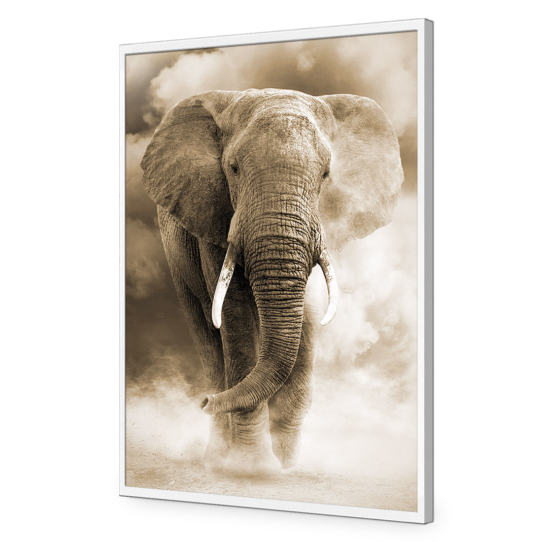 Elephant in Dust, Sepia