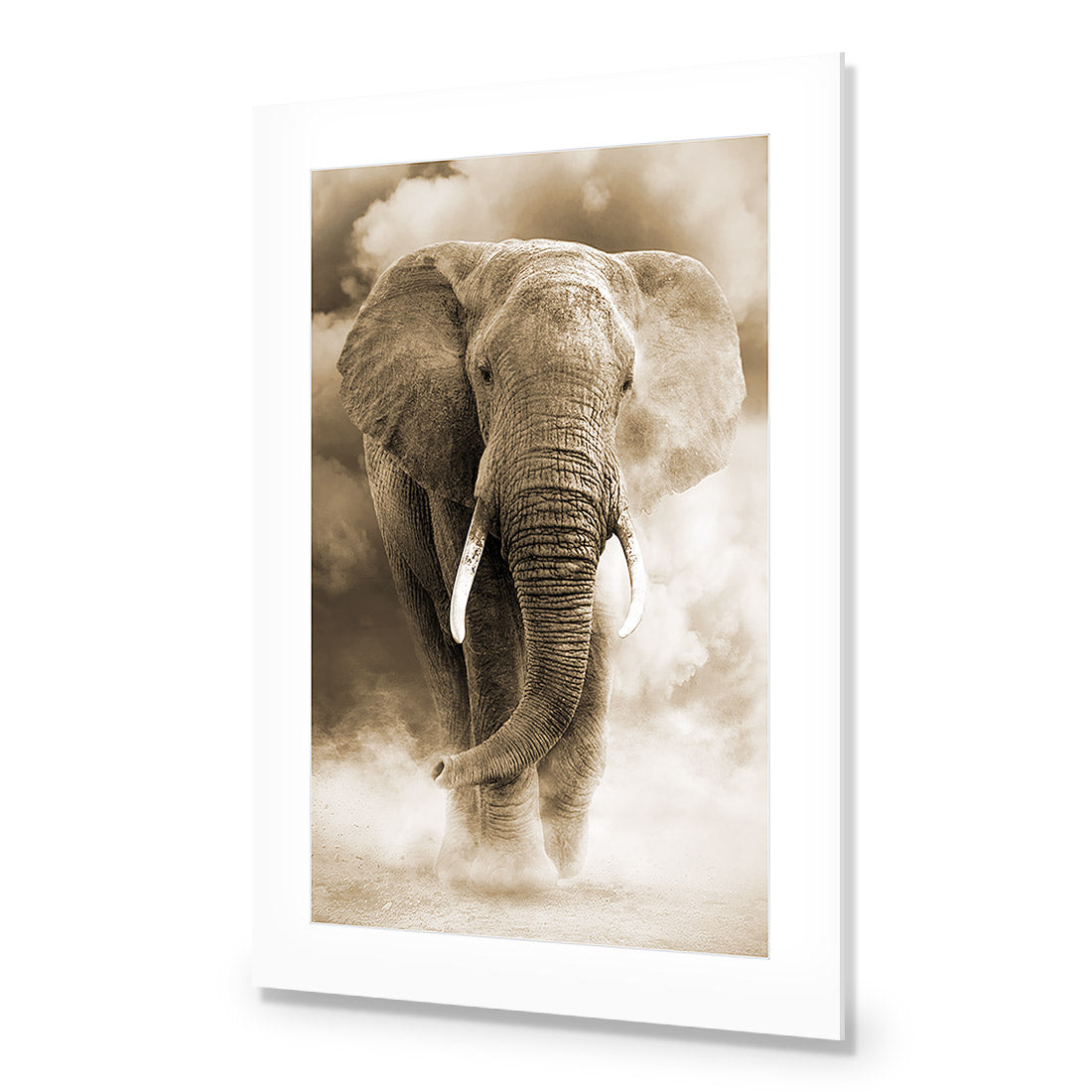 Elephant in Dust, Sepia