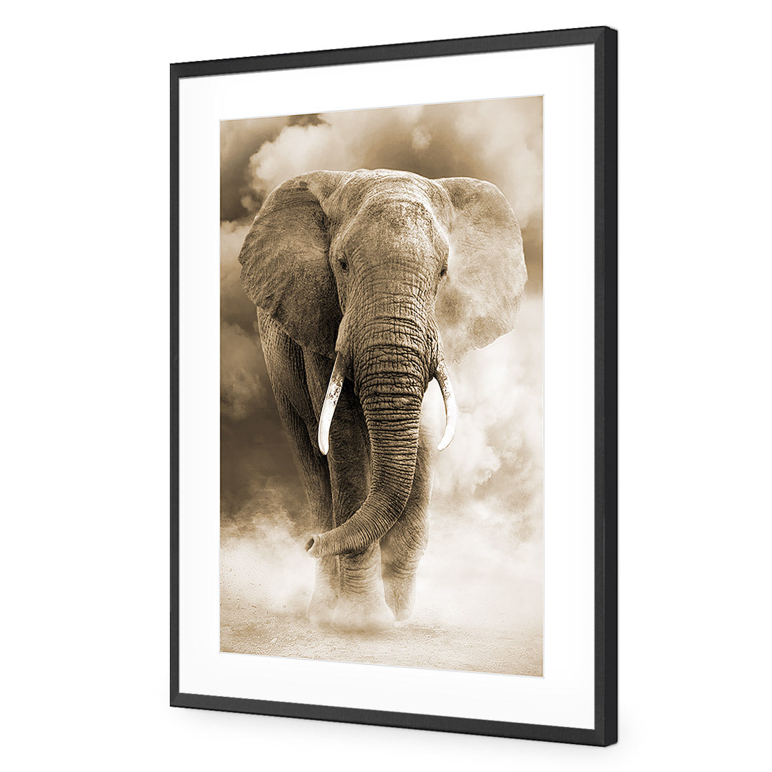 Elephant in Dust, Sepia