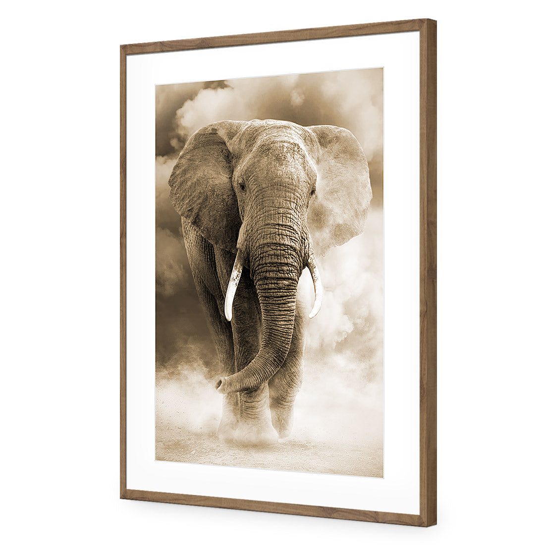 Elephant in Dust, Sepia