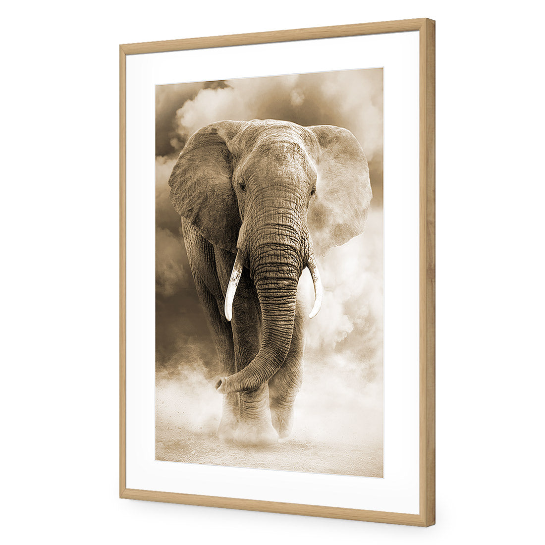 Elephant in Dust, Sepia